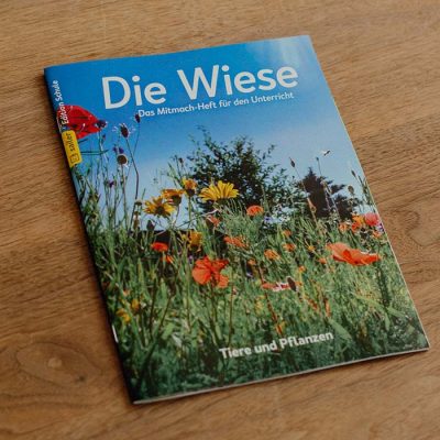 Mitmach-Heft Wiese