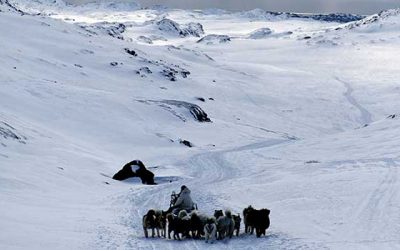 Inuit – Leben in der Arktis