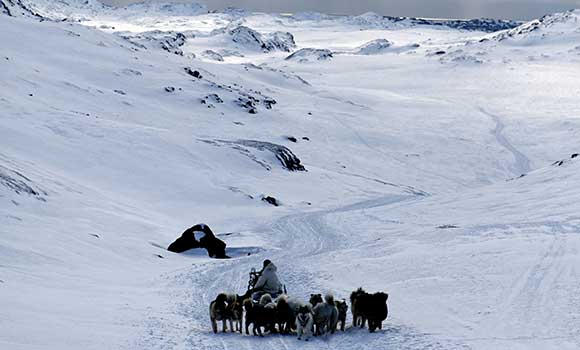 Inuit