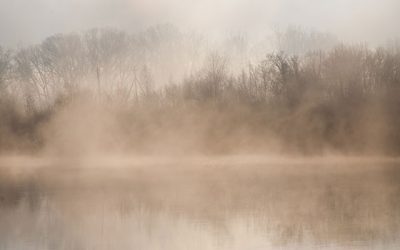 Was ist Nebel?