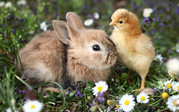 Ostern 2019 in der Grundschule