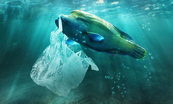 Arbeitsblätter Plastik im Meer