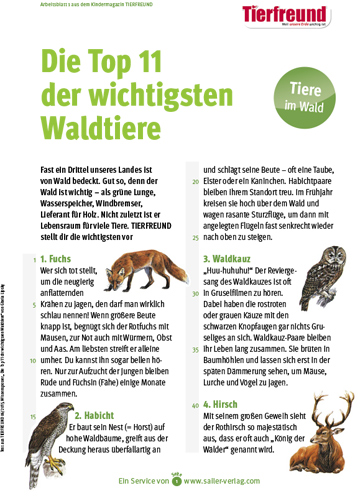 Arbeitsblatt Waldtiere