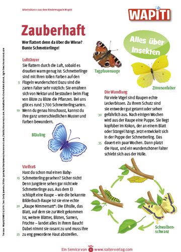 Arbeitsblatt Insekten