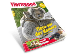 Tierfreund (ab 9 Jahren)