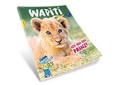 Wapiti (ab 7 Jahren)