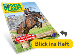 Dein Planet (ab 12 Jahren)