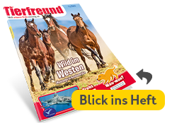 Tierfreund ( ab 9 Jahren)