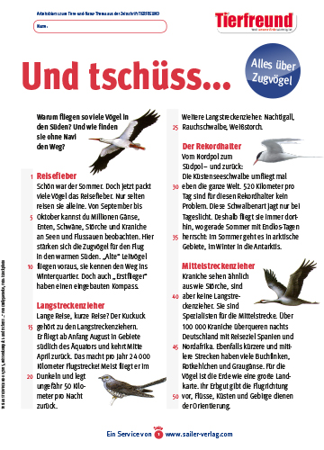 Arbeitsblatt Zugvögel