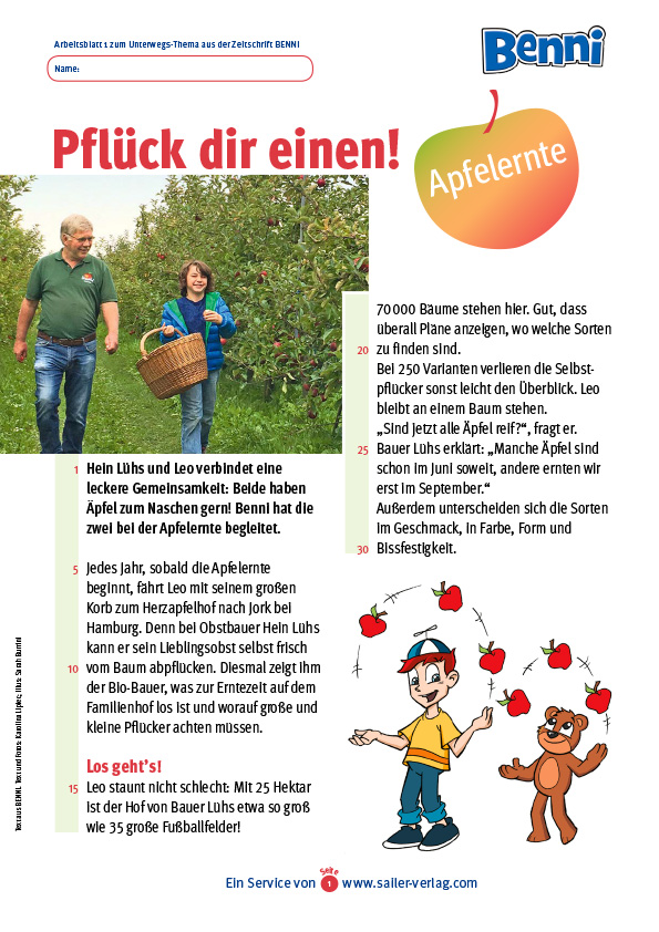 Arbeitsblatt Apfelernte