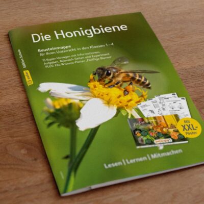 Bausteinmappe: Die Honigbiene