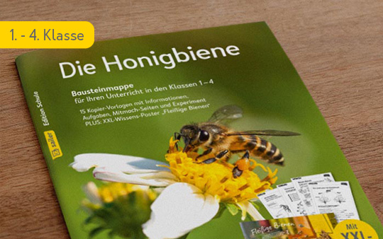 Bausteinmappe: Die Honigbiene