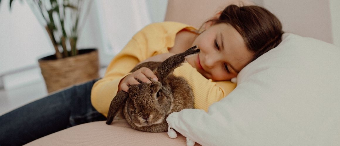 Kinder und Tiere Kinder und Tiere