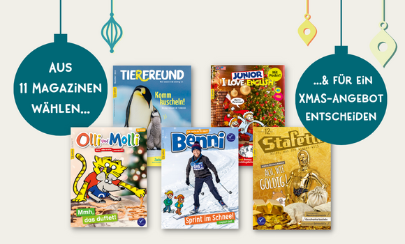 Leseabo zu Weihnachten verschenken