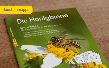 Bausteinmappe