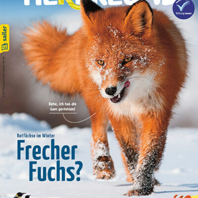 Tierfreund - Ausgabe 01/2025