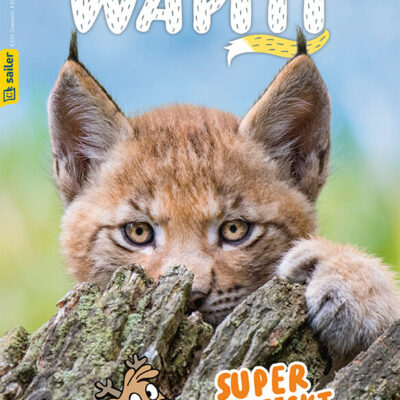 Wapiti - Ausgabe 01/2025